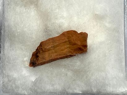 null Mount Egerton
Achondrite : Aubrite discovered in Western Australia in 1941....