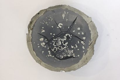 null Septaria de nodule de pyrite en coupe