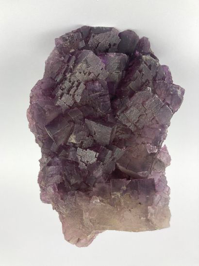 Fluorine
Groupe de cristaux cubiques violets,...