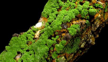 null Pyromorphite verte de la mine des Farges, Ussel en Corrèze, France. Un grand...