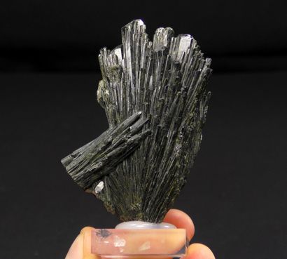 null Important sheaf of epidote crystals from Castrovalva, Peru. 8 x 5cm.