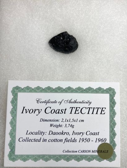 null Ivoirite
Tectite from Ivory Coast. 
Complete stone : 2,1 x 1,5 x 1 cm 
Weight...