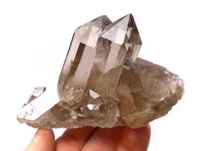 null Superb group of smoky quartz composed of two parallel strands particularly luminous,...