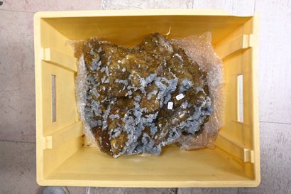 null Important honey fluorite block with numerous blue barite crystals 
Lamoscona...