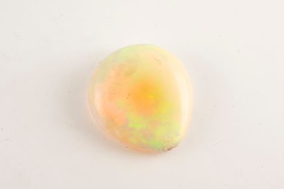 null Opal cabochon weighing 18.27cts. 
2.3 x 2cm
With certificate
