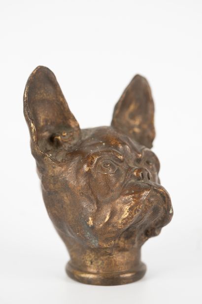 null Paul Edouard DREUX (1855-1947)
Bulldog head in bronze with medal patina. 
Signed....