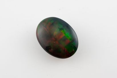 null Black oval cabochon opal weighing 16cts approx.