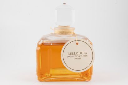 CARON « Bellodgia »
Flacon en cristal modèle...