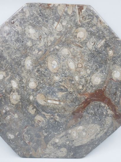 null Octagonal hardstone dish containing ammonites 
Diameter: 26 cm.