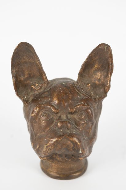 null Paul Edouard DREUX (1855-1947)
Bulldog head in bronze with medal patina. 
Signed....