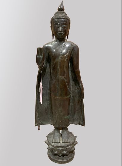 null Buddha standing in abaya mudra, wearing a monastic utarasanga robe molding his...