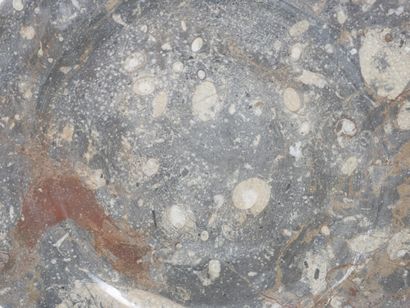 null Octagonal hardstone dish containing ammonites 
Diameter: 26 cm.