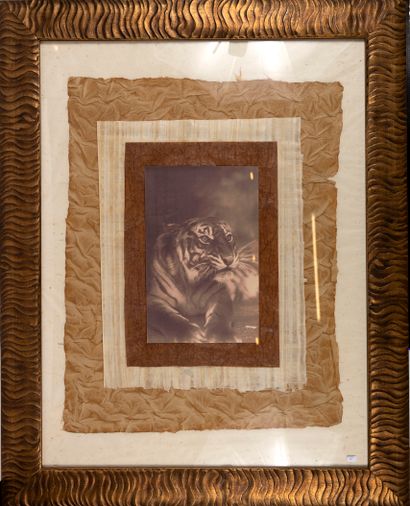 null Modern work
Reprography depicting a lion, on a textured base and in a handsome...