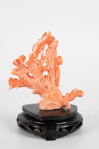 null CHINA, 20th century
Angel skin coral Kwan-Yin. Carved wood base. 
Height: 1...