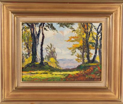 null Jehan BERJONNEAU (1890-1972)
Forest landscape
Oil on canvas signed lower right...