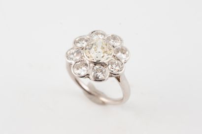 null Delightful daisy ring in 18k white gold with a half-cut diamond in the center,...