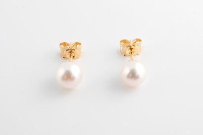 null Pair of 18k gold stud earrings adorned with 2 7/7.5 mm Akoya cultured pearls...