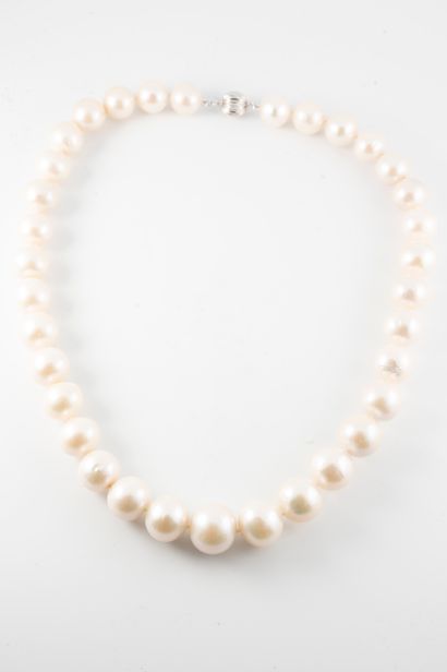 null Necklace made of large pearls 11 to 15 mm in diameter. Clasp in 18k white gold....