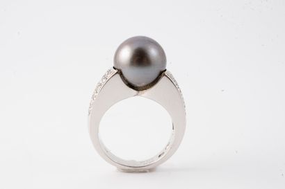 null BOUCHERON
18k white gold ring surmounted by an 11mm Tahitian pearl in a diamond-paved...