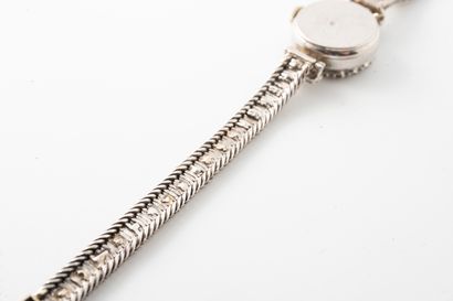 null Ladies' watch in 18k white gold, circular case, bezel and clasp set with diamonds...