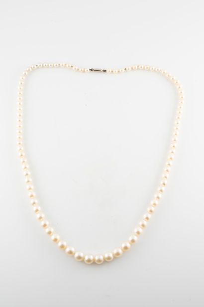 null Necklace of 3 to 6mm diameter cultured pearls. 
Gross weight: 14g. Length: ...