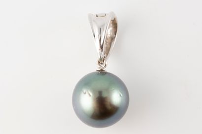 null Pendant in 18k white gold adorned with a 12mm Tahitian pearl. The bélière opens.
Gross...