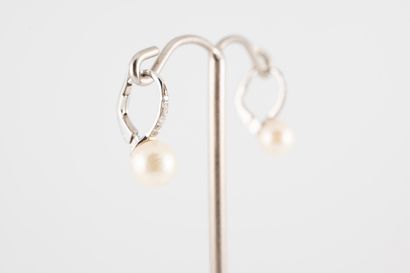 null Pair of 18k white gold earrings set with 6mm cultured pearls, the hoop topped...