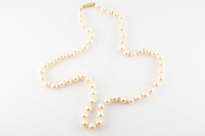null Collier de perles baroques d'un diamètre de 7mm en moyenne. Fermoir en or jaune...