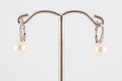 null Pair of 18k white gold earrings set with 6mm cultured pearls, the hoop topped...