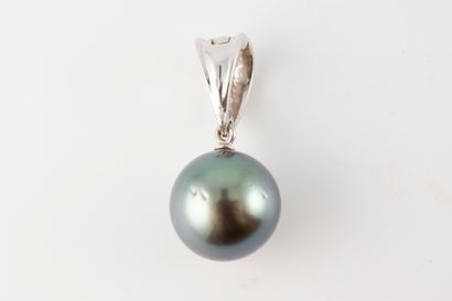 null Pendant in 18k white gold adorned with a 12mm Tahitian pearl. The bélière opens.
Gross...