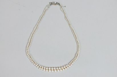 null Collier de deux rangs de 284 perles fines en chute- Fermoir or jaune et platine...