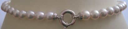 null Collier ras de cou 52 perles de culture du Japon 7.5/8 mm. Fermoir Or blanc
