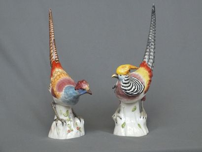 null Couple d’oiseaux de paradis en porcelaine de Paris (Bloch) richement polychrome...