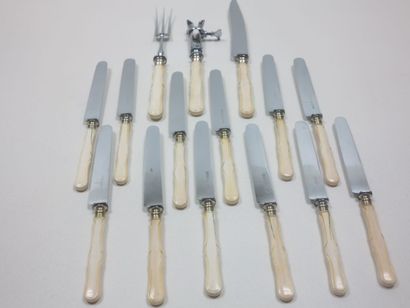 null Ensemble 12 couteaux table + 1 tulipe à gigot +2 pièces (fourchette + couteau...