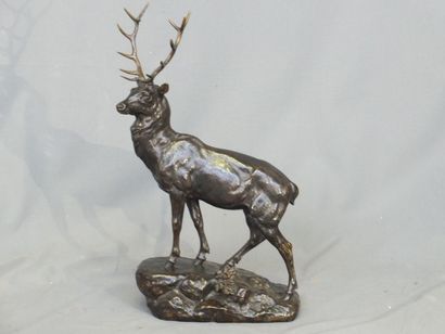 null MASSON J.J (1871-1932)- Grand cerf sculpté en bronze à patine médaille sur socle...