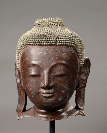 null Tête de Buddha à l'expression méditative, la coiffure hérissée de fines bouclettes,...