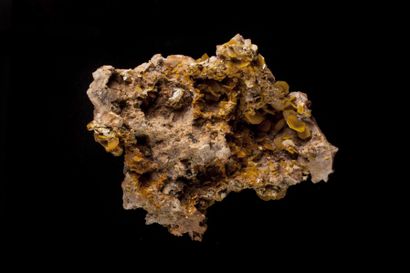Minéralogie Wulfenite Mibladen Khénifra (Maroc)

13x11x5cm

Wulfénite jaune du Maroc...
