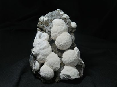 Minéralogie Barytine en « pompon » sur pyrite et dolomite, Mine des Malines, Saint-...