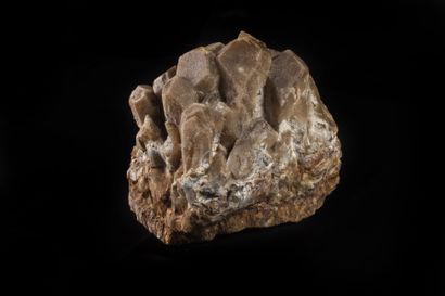 Minéralogie Barytine Maine( France)

20x22x23cm

Grande barytine de la Mine du Maine...