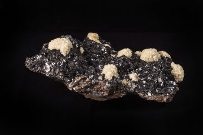 Minéralogie Sphalérite et Baryto calcite Elmwood Tennessee ( USA)

38x33x16cm

Très...