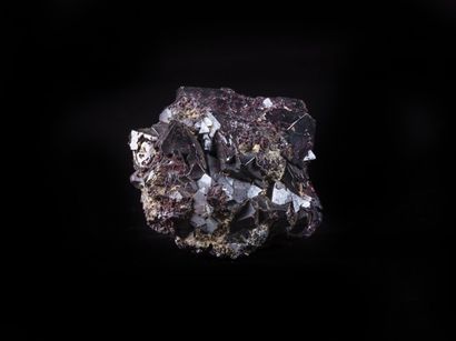 Minéralogie Cuprite, Argent natif - Mine Poteryaevskoc Rubtsovsk Altai ( Russie)

5x4x4.5cm

Cristal...