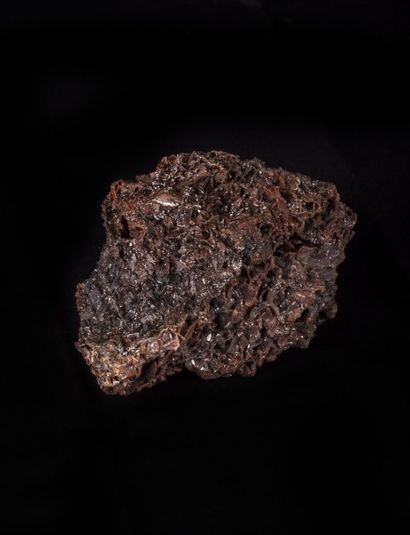 Minéralogie Descloïzite-(Berg AukasTsumeb ( Namibie)

14x12x8cm

Descloïsite de grande...