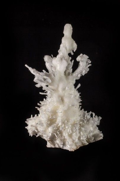 Minéralogie Aragonite mine de Salsigne (France) 

24x13x14cm

Aragonite ressemblant...