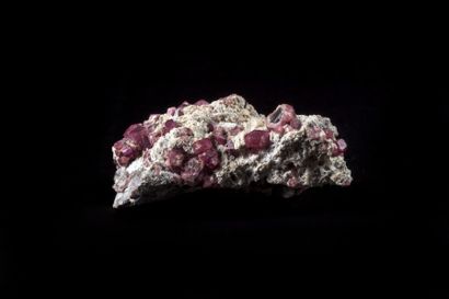 Minéralogie Grenat - Coalinga (Mexique)

8x7x5cm

Contraste entre les grenats roses...