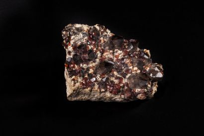 Minéralogie Quartz fumé Spessartite -Tongbei (Chine)

10x8x6cm

A noter le noir des...
