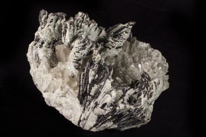 Minéralogie Hubnerite, Quartz - District Pasto Bueno (Perou)

46x35x30cm Comporte...