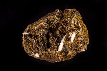 Minéralogie Pyromorphite (Les farges France)

20x12x15cm- Flottant de 20cm couvert...