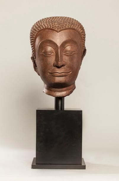 Arts d'Asie Tête de Bouddha à la coiffure bouclée à l'expression méditative, les...