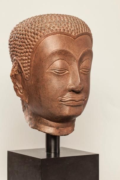 Arts d'Asie Tête de Bouddha à la coiffure bouclée à l'expression méditative, les...
