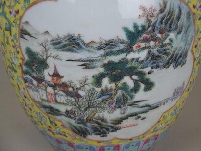 Arts d'Asie Vase balustre moulé de deux anses chimères appliquées au col , en porcelaine...